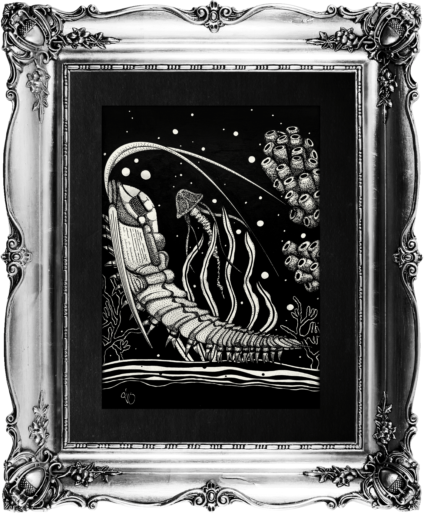 TrilobiteAltuum by Jorge Luis Valverde-Bartlett